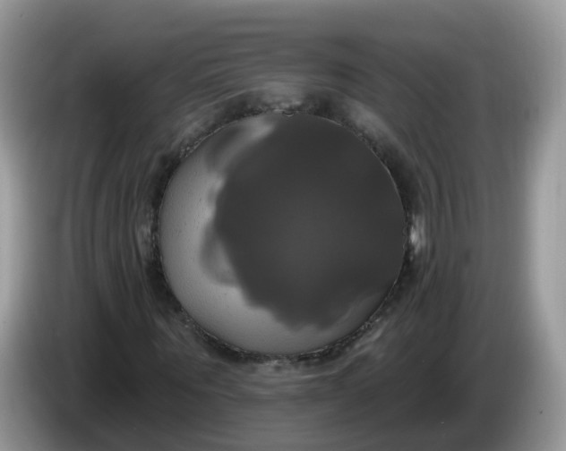 X0000086220867200704121855