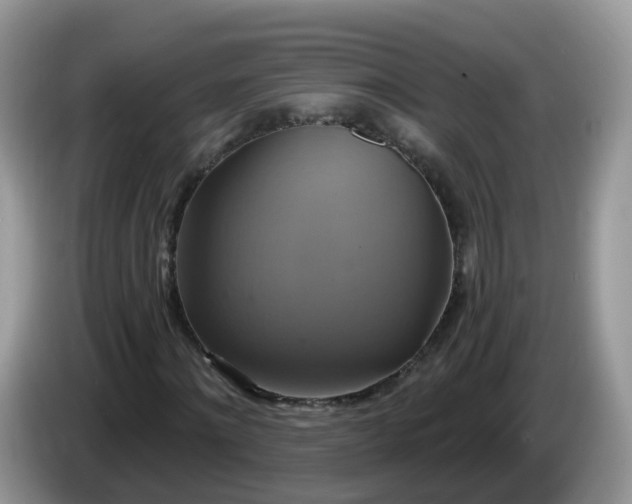 X0000086220868200704121855