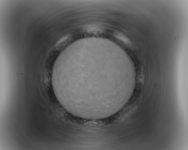 X0000086220869200704121855