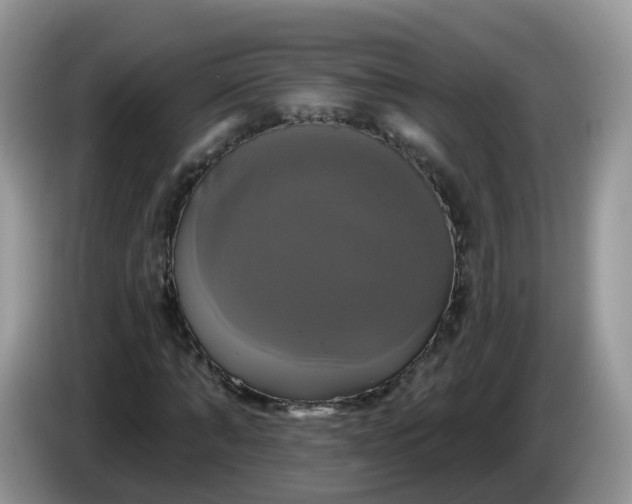 X0000086220870200704121855