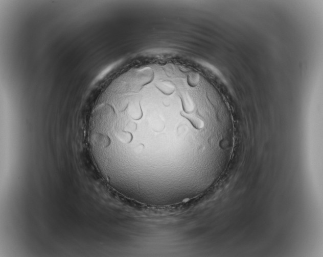 X0000086220871200704121855