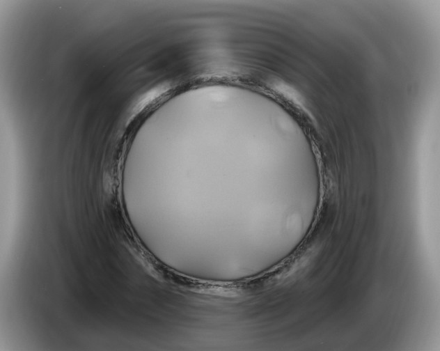 X0000086220874200704121855