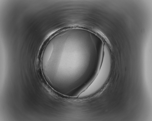 X0000086220876200704121855