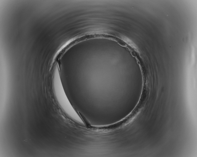 X0000086220877200704121855