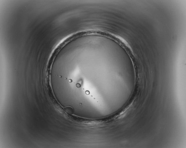 X0000086220879200704121855