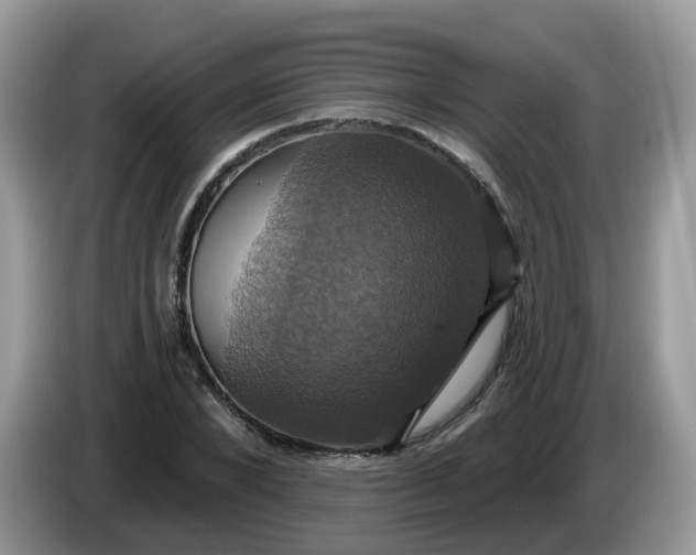 X0000086220880200704121855