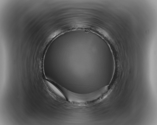 X0000086220881200704121855