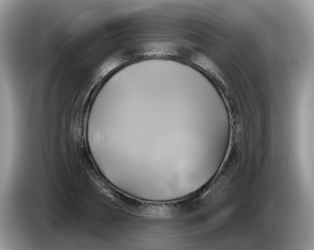 X0000086220882200704121855