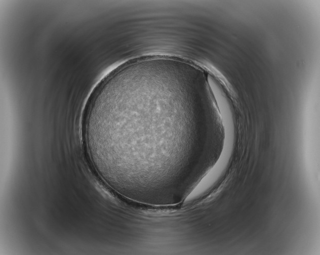 X0000086220884200704121855