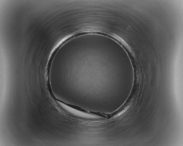 X0000086220885200704121855