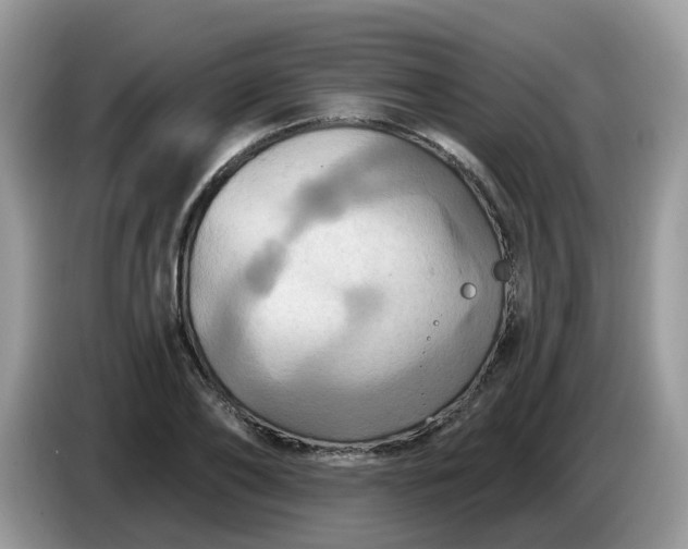 X0000086220886200704121855