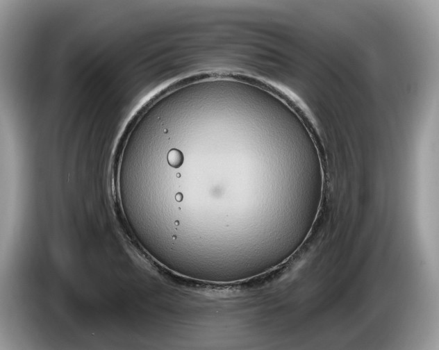 X0000086220887200704121855