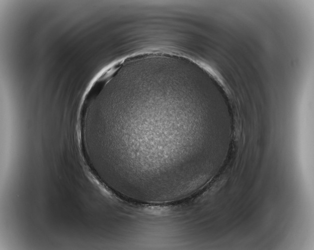 X0000086220888200704121855