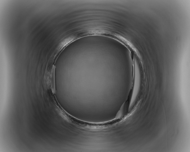 X0000086220889200704121855