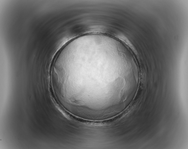 X0000086220890200704121855