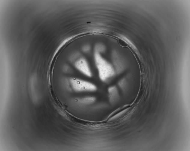 X0000086220891200704121855