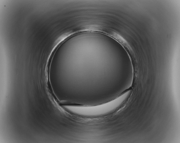 X0000086220892200704121855