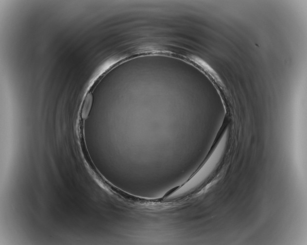 X0000086220893200704121855