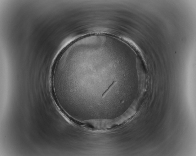 X0000086220894200704121855