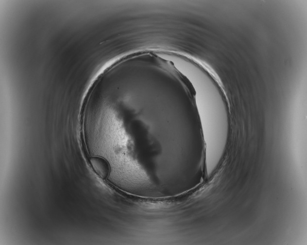 X0000086220895200704121855