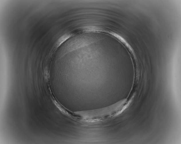 X0000086220897200704121855