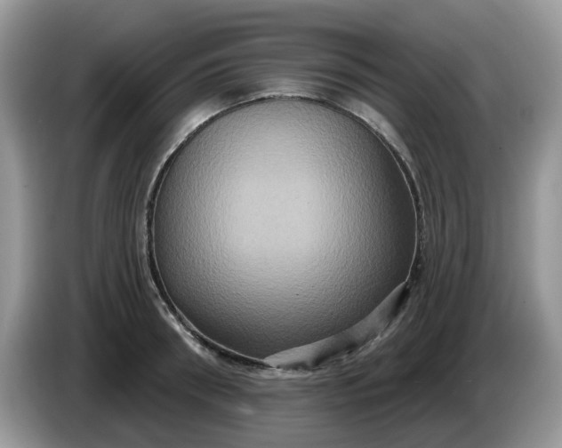 X0000086220898200704121855