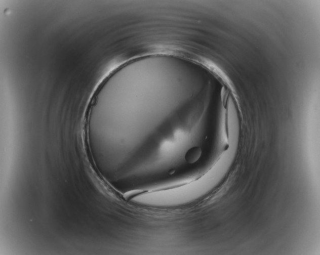 X0000086220899200704121855