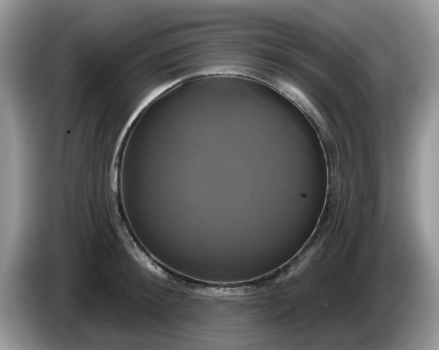 X0000086220900200704121855