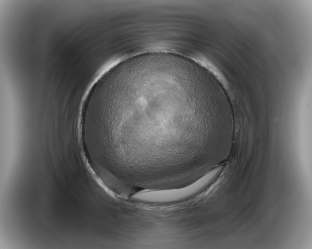 X0000086220902200704121855