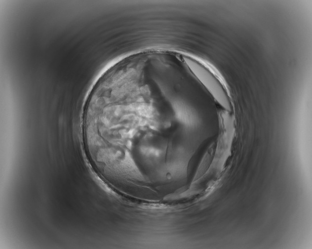 X0000086220903200704121855