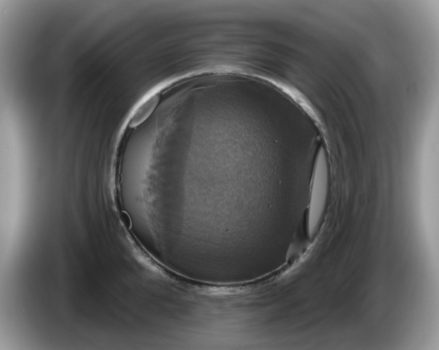 X0000086220904200704121855