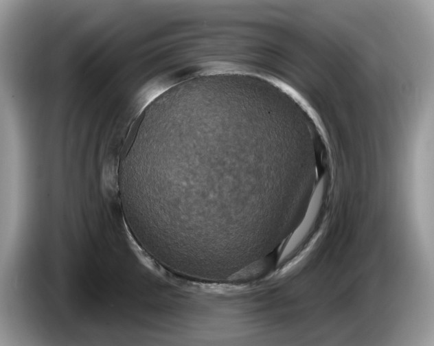 X0000086220905200704121855