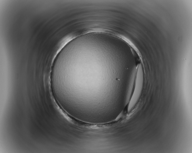 X0000086220906200704121855