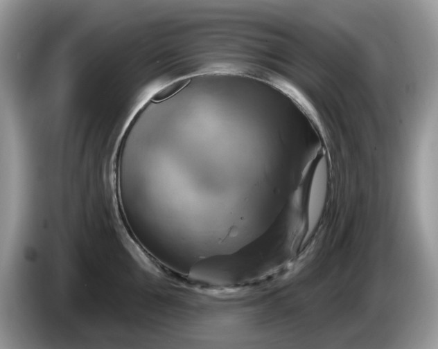 X0000086220907200704121855