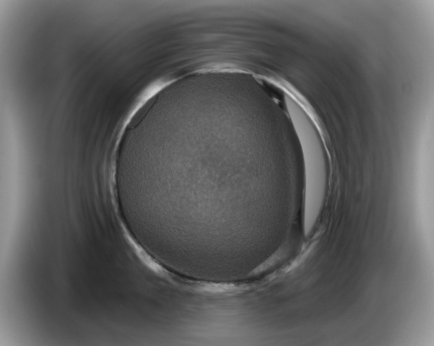 X0000086220909200704121855