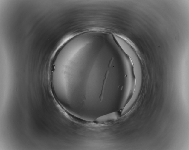 X0000086220910200704121855