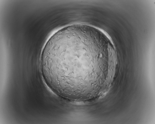 X0000086220911200704121855