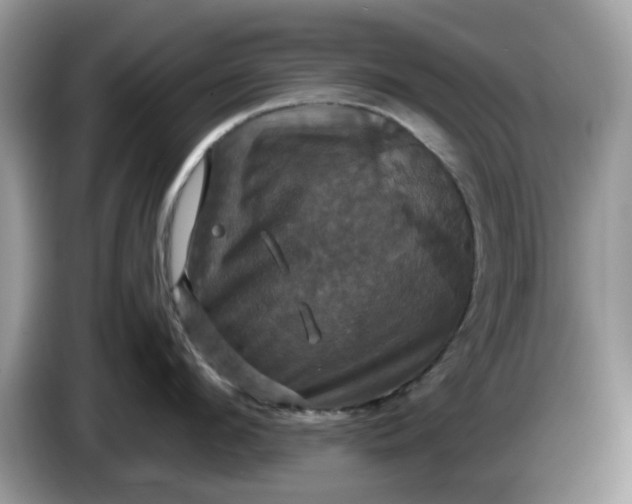 X0000086220912200704121855