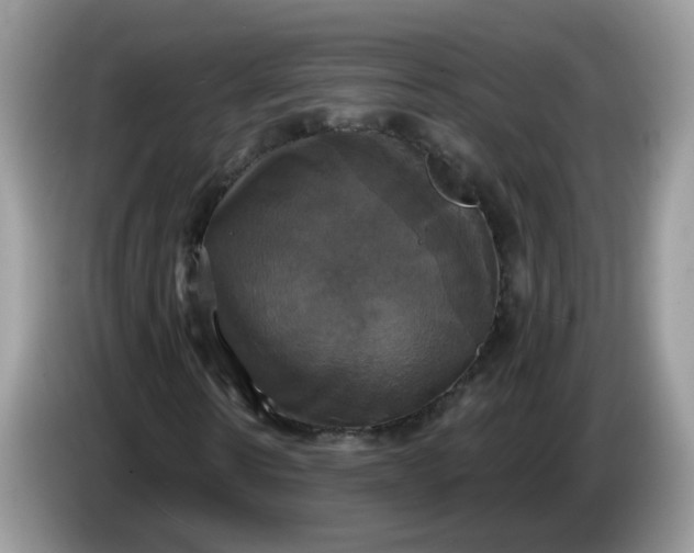 X0000086220914200704121854