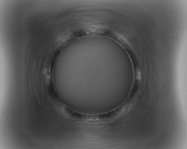 X0000086220915200704121854