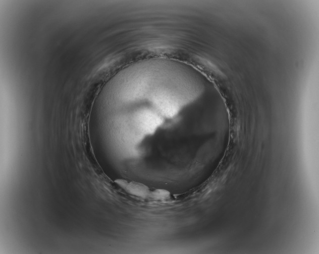 X0000086220917200704121854