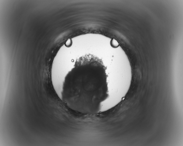 X0000086220918200704121854