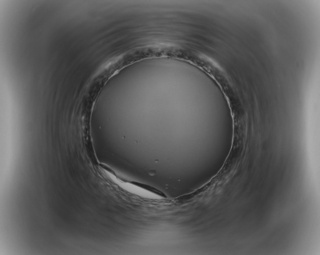 X0000086220919200704121854