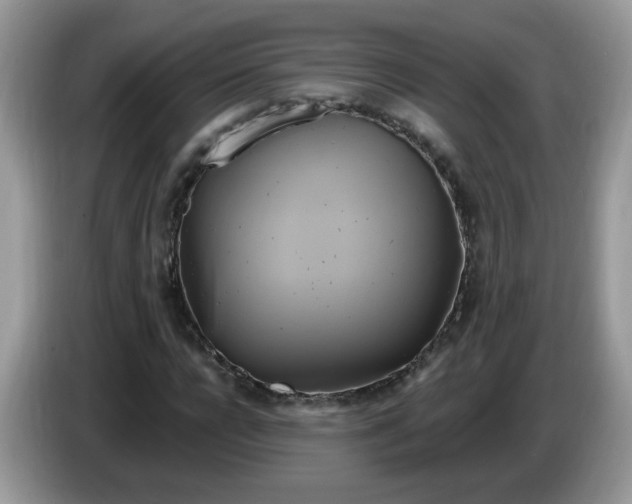 X0000086220920200704121854