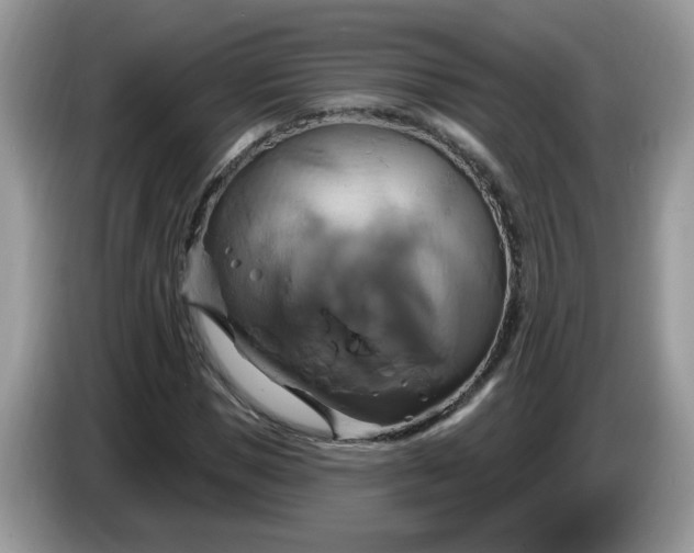 X0000086220921200704121854