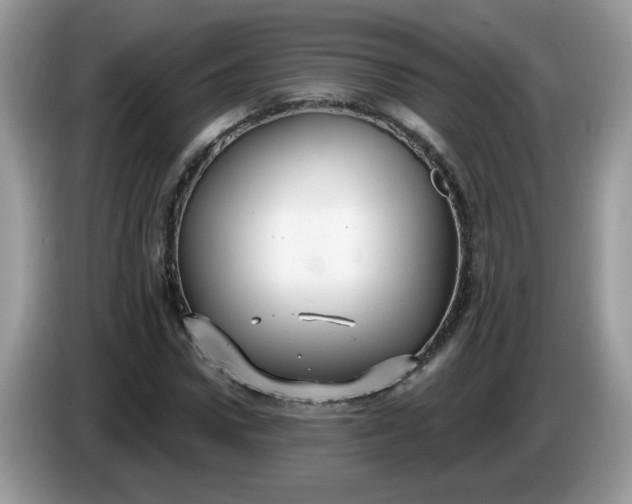 X0000086220922200704121854