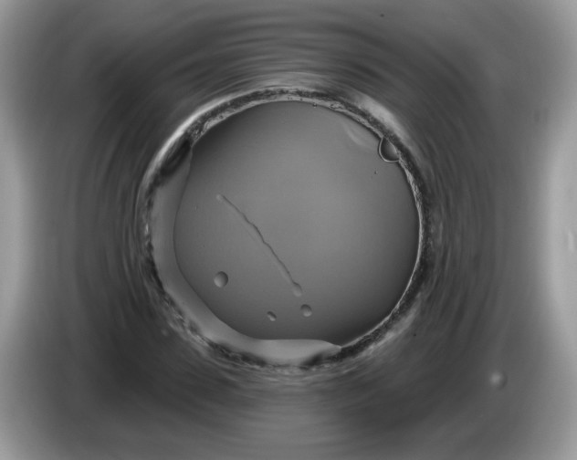 X0000086220923200704121854