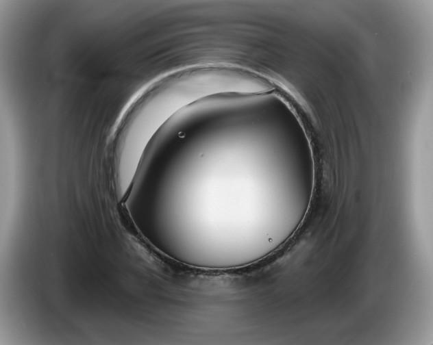 X0000086220926200704121854