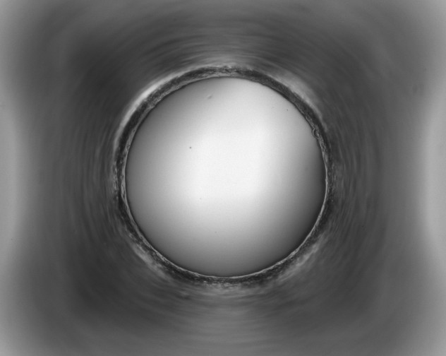 X0000086220927200704121854