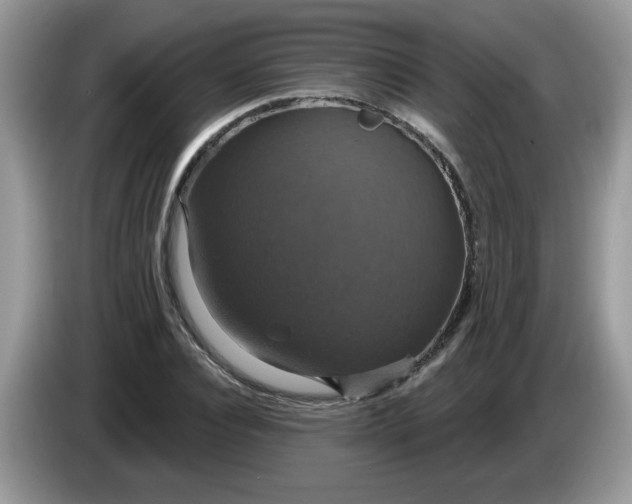 X0000086220928200704121854